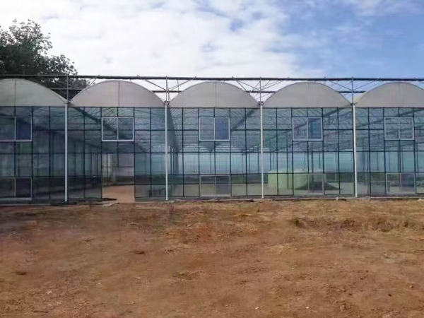 连栋玻璃温室 (1)
