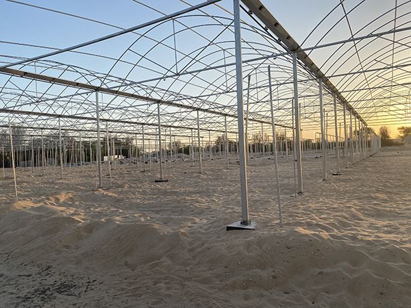 沙特阿拉伯连栋阳光板温室51200平方